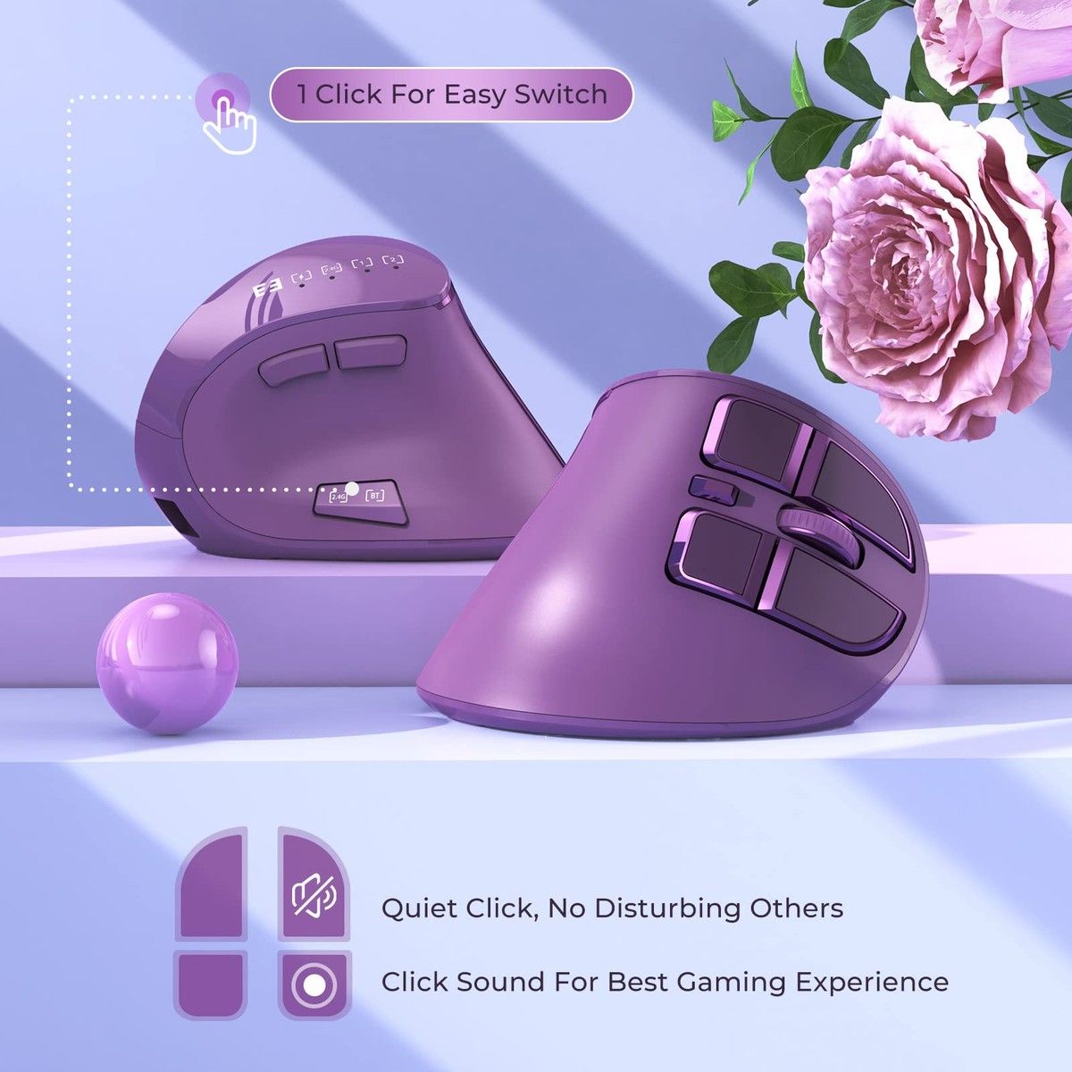 https://img.bestdeals.co.nz/products_pictures/708/70806_676539_F.jpg
