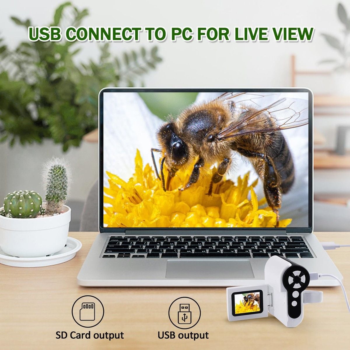 https://img.bestdeals.co.nz/products_pictures/708/70844_677063_F.jpg