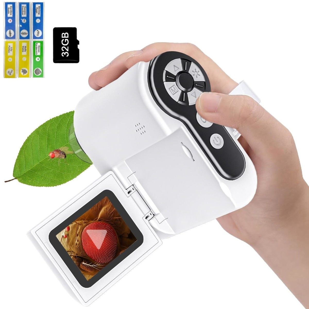 https://img.bestdeals.co.nz/products_pictures/708/70844_677069_F.jpg