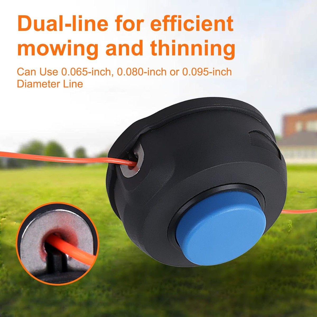 https://img.bestdeals.co.nz/products_pictures/711/71188_680097_F.jpg