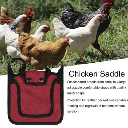 https://img.bestdeals.co.nz/products_pictures/712/71281_681090_F.jpg
