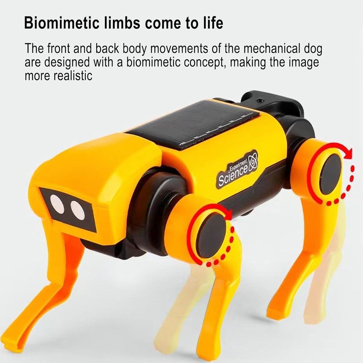https://img.bestdeals.co.nz/products_pictures/713/71315_681437_F.jpg