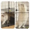3 Tier Cat Enclosure Cage Large DIY Pet Crate Rabbit Hutch Ferret Kitten Bunny House Fence Kennel Kitty Playpen with Litter Box Platforms Ramps