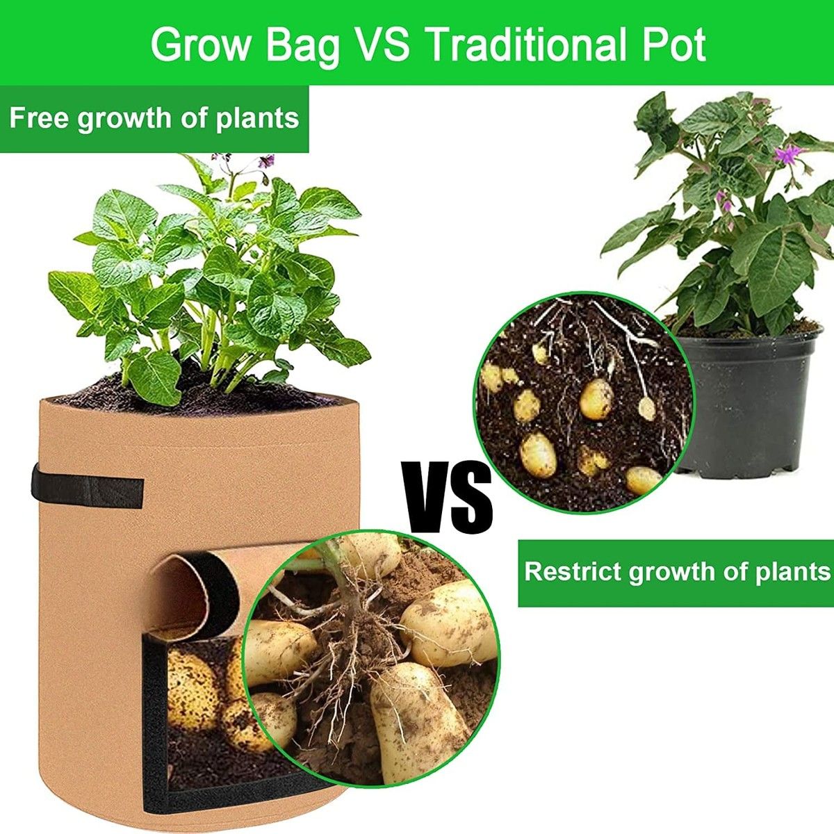 https://img.bestdeals.co.nz/products_pictures/713/71398_682301_F.jpg
