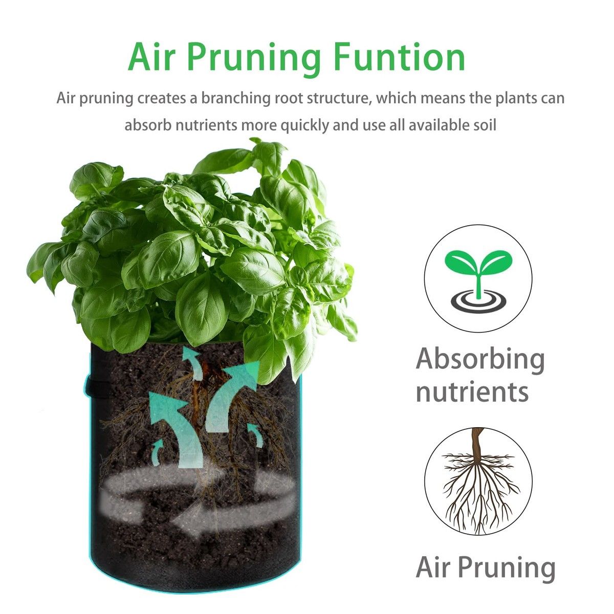 https://img.bestdeals.co.nz/products_pictures/713/71399_682311_F.jpg