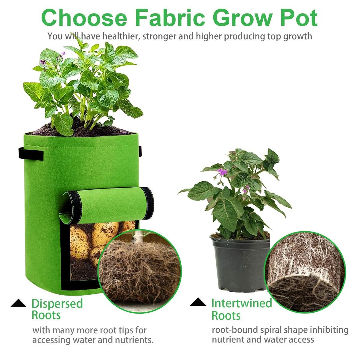 https://img.bestdeals.co.nz/products_pictures/713/71399_682313_F.jpg