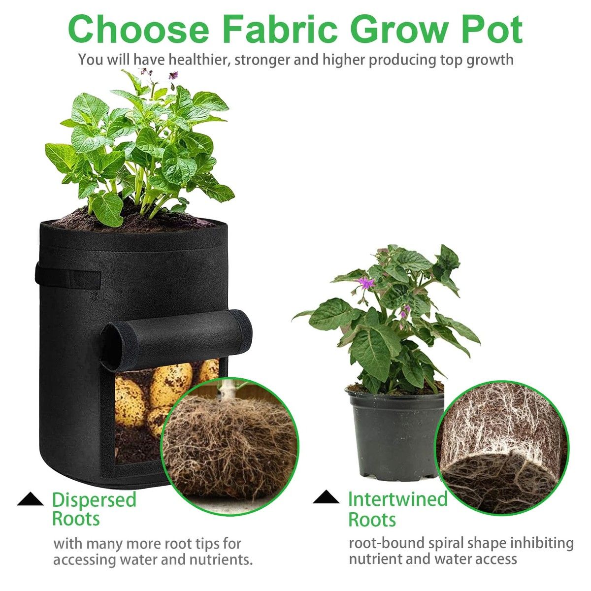 https://img.bestdeals.co.nz/products_pictures/714/71401_682335_F.jpg