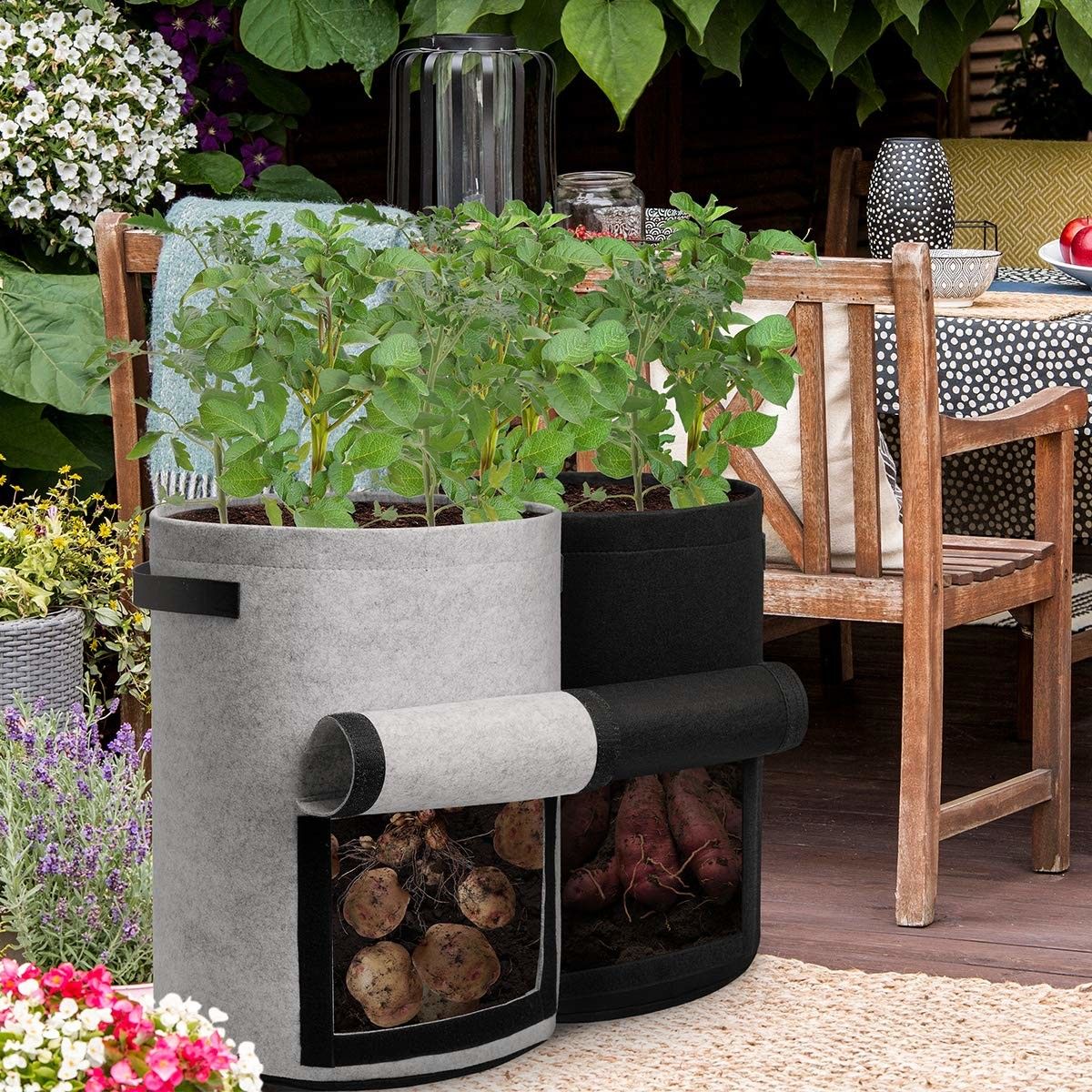 https://img.bestdeals.co.nz/products_pictures/714/71402_682352_F.jpg