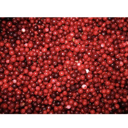 https://img.bestdeals.co.nz/products_pictures/714/71405_682398_F.jpg