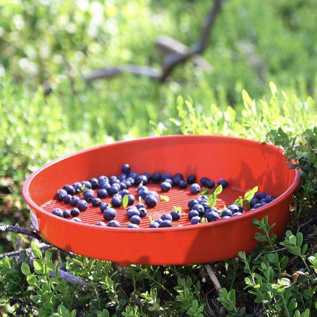https://img.bestdeals.co.nz/products_pictures/714/71405_682399_F.jpg