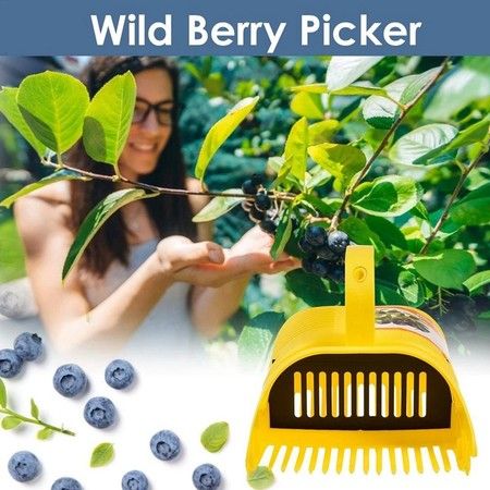 https://img.bestdeals.co.nz/products_pictures/714/71407_682424_F.jpg