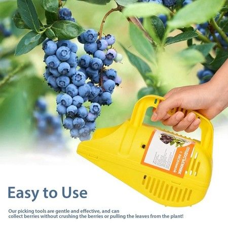 https://img.bestdeals.co.nz/products_pictures/714/71407_682426_F.jpg