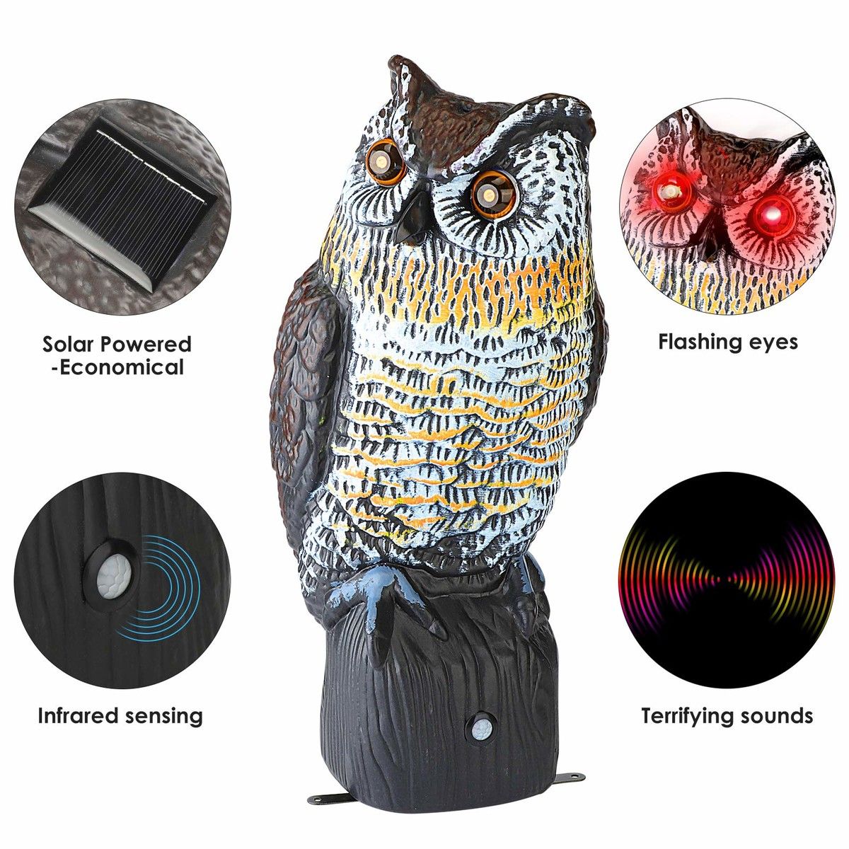 https://img.bestdeals.co.nz/products_pictures/714/71422_682571_F.jpg