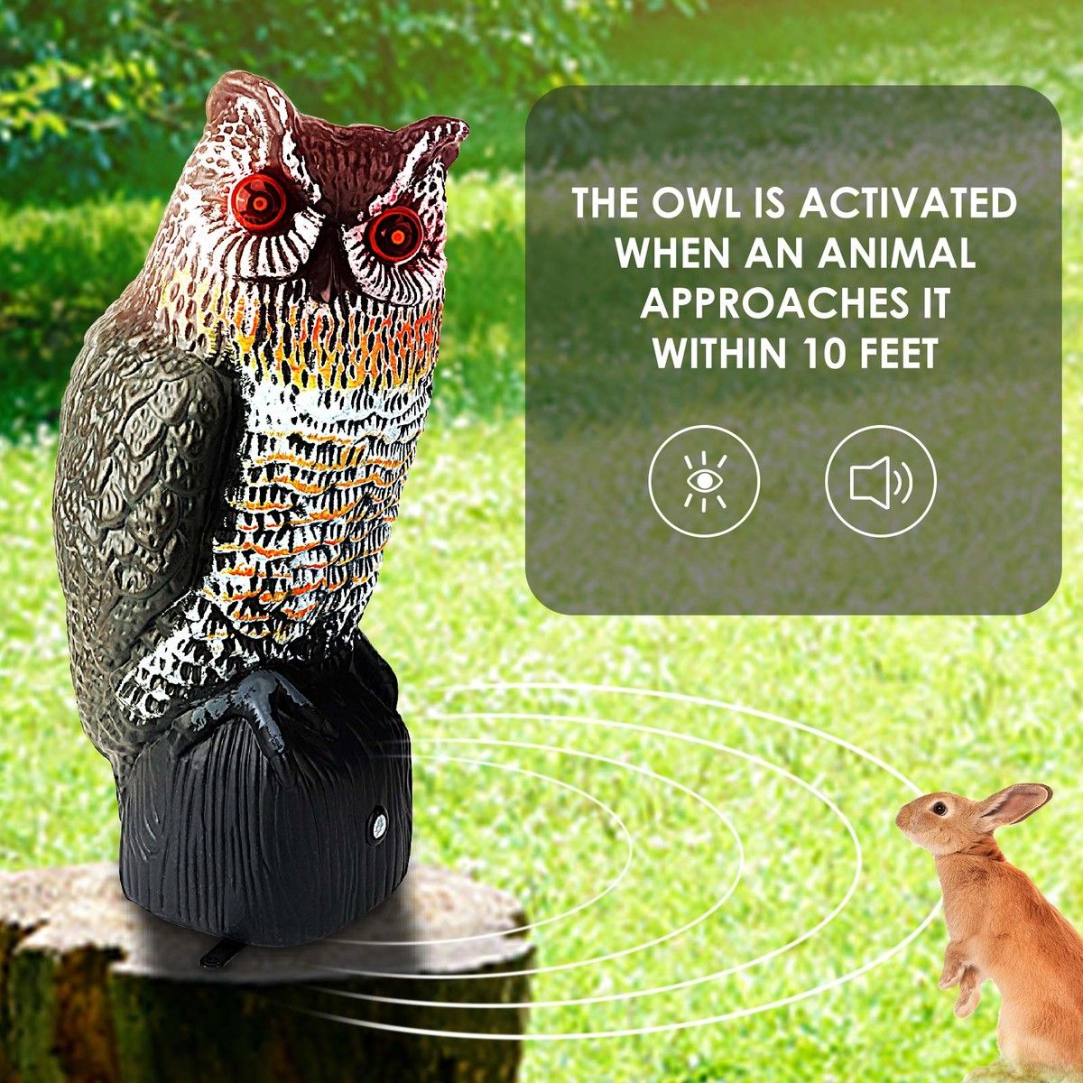 https://img.bestdeals.co.nz/products_pictures/714/71422_682574_F.jpg