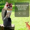 Plastic Owl to Keep Birds Away,Owl Scarecrows with Flashing Eyes & Frightening Sound,Owl for Bird Control for Garden Yard Outdoor
