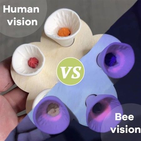 https://img.bestdeals.co.nz/products_pictures/714/71442_682781_F.jpg