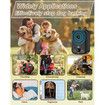 2 Pack Auto Dog Bark Control Devices with 3 Modes Rechargeable Ultrasonic Bark Box for Effective Indoor and Outdoor Use