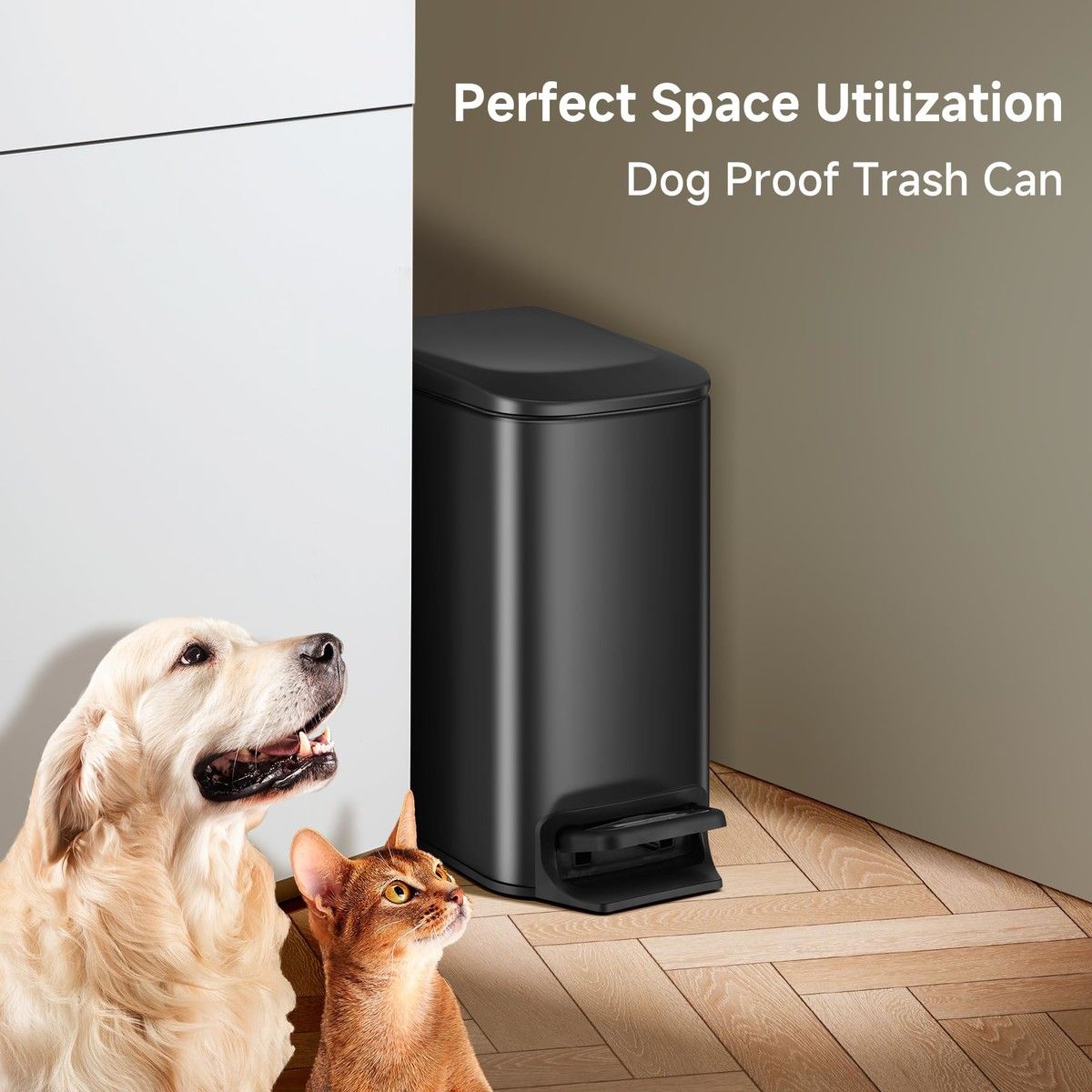 https://img.bestdeals.co.nz/products_pictures/715/71544_683856_F.jpg