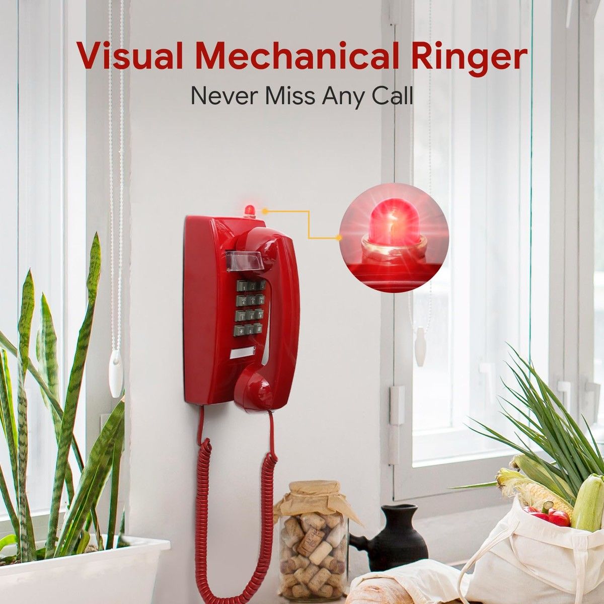 https://img.bestdeals.co.nz/products_pictures/715/71584_684397_F.jpg