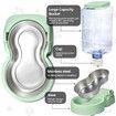 2 Pack Automatic Cat Feeder and Water Dispenser with Stainless Steel Bowl Dog Gravity Food Feeder and Waterer for Small Medium Pets Puppy Kitten(Green)