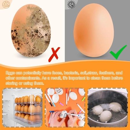 https://img.bestdeals.co.nz/products_pictures/718/71849_687078_F.jpg