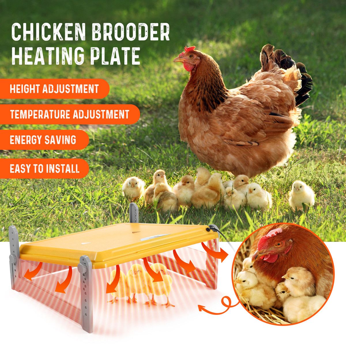 https://img.bestdeals.co.nz/products_pictures/718/71881_687528_F.jpg