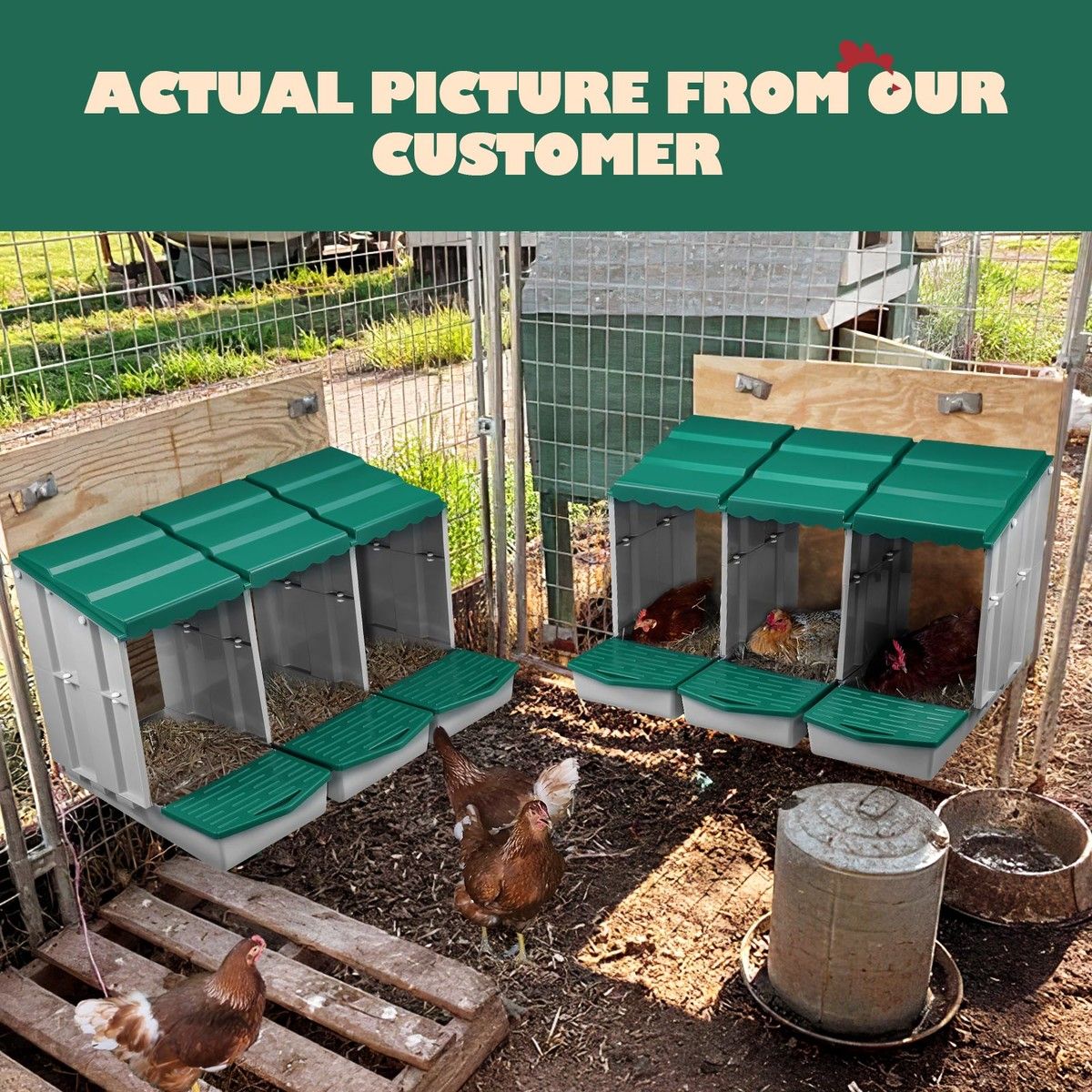 https://img.bestdeals.co.nz/products_pictures/718/71886_687623_F.jpg