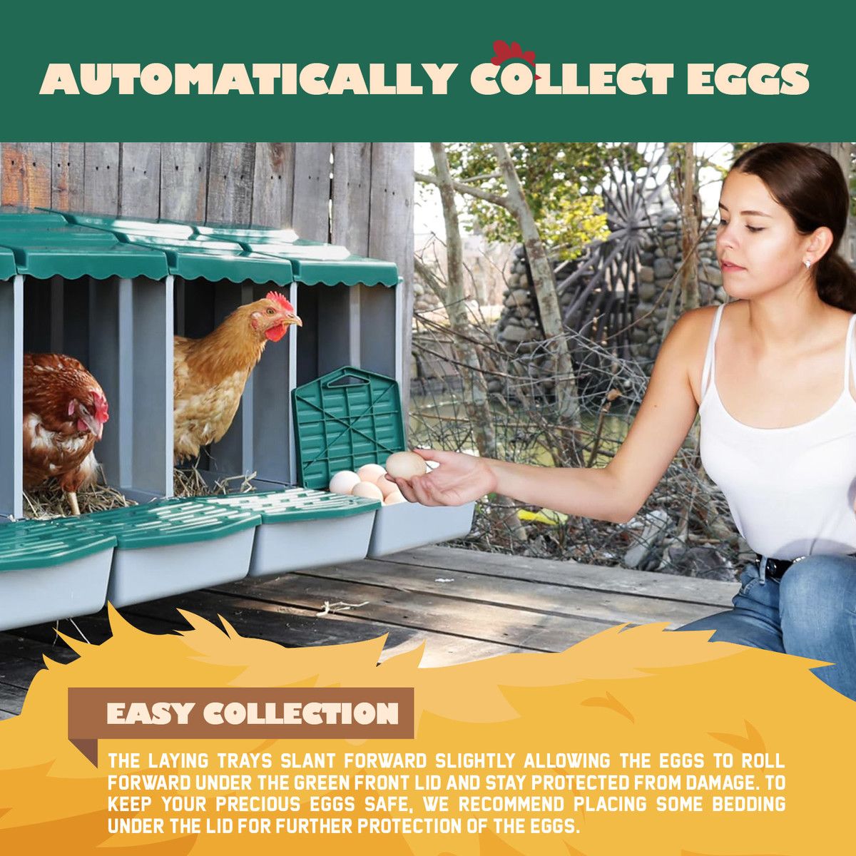 https://img.bestdeals.co.nz/products_pictures/718/71886_687632_F.jpg