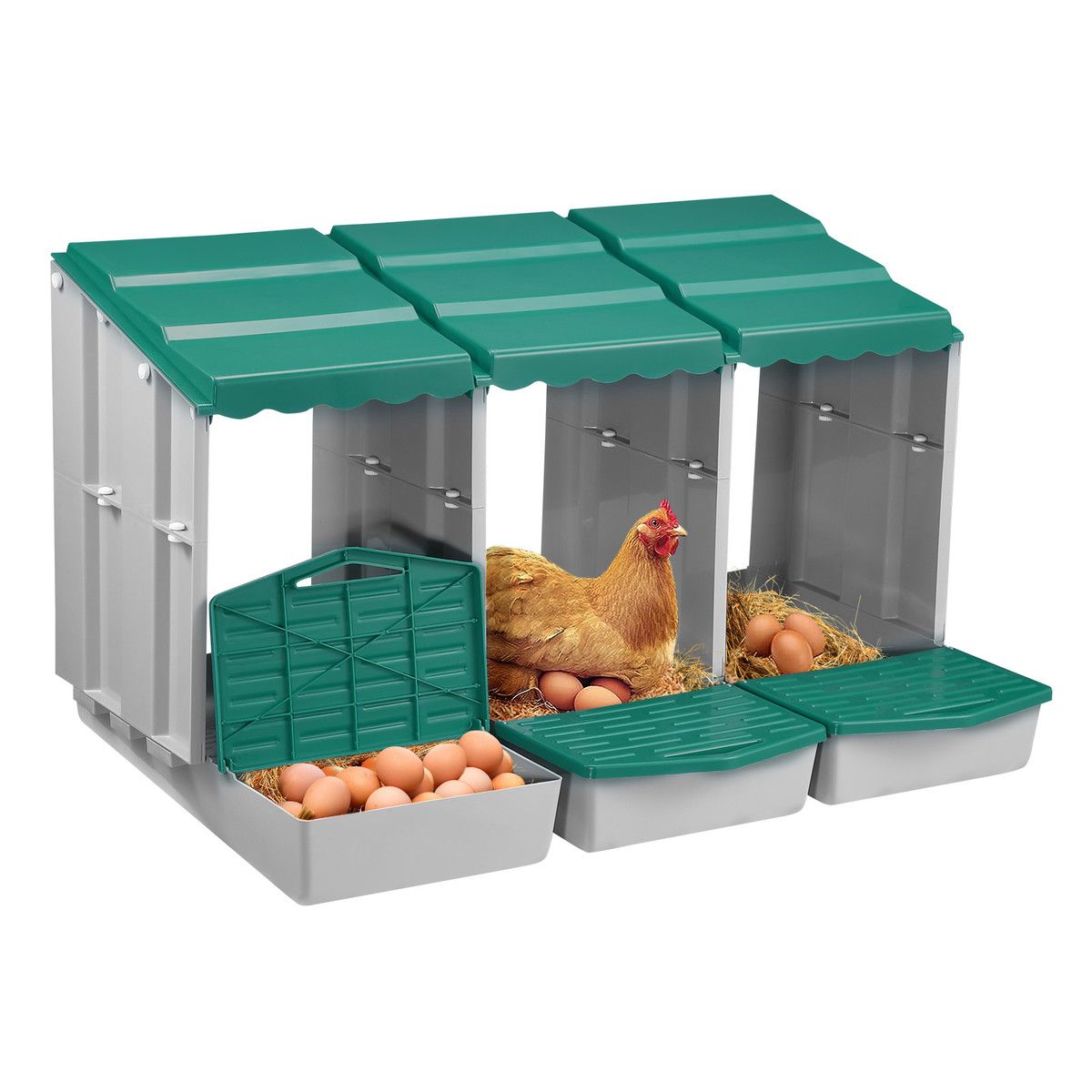 https://img.bestdeals.co.nz/products_pictures/718/71886_687634_F.jpg