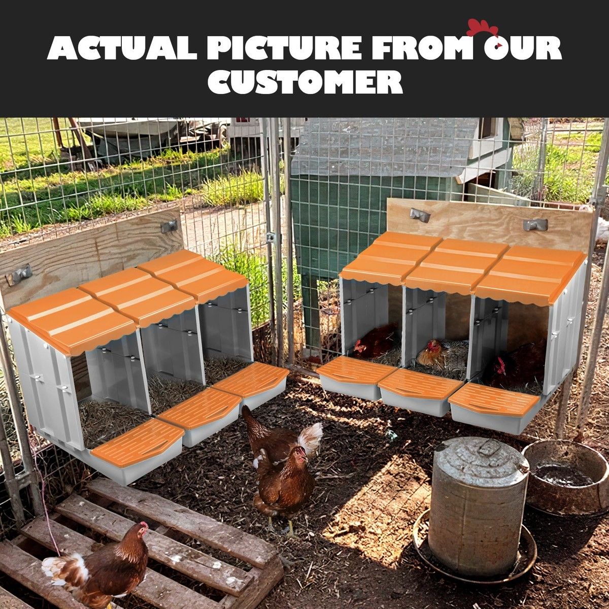 https://img.bestdeals.co.nz/products_pictures/718/71887_687648_F.jpg