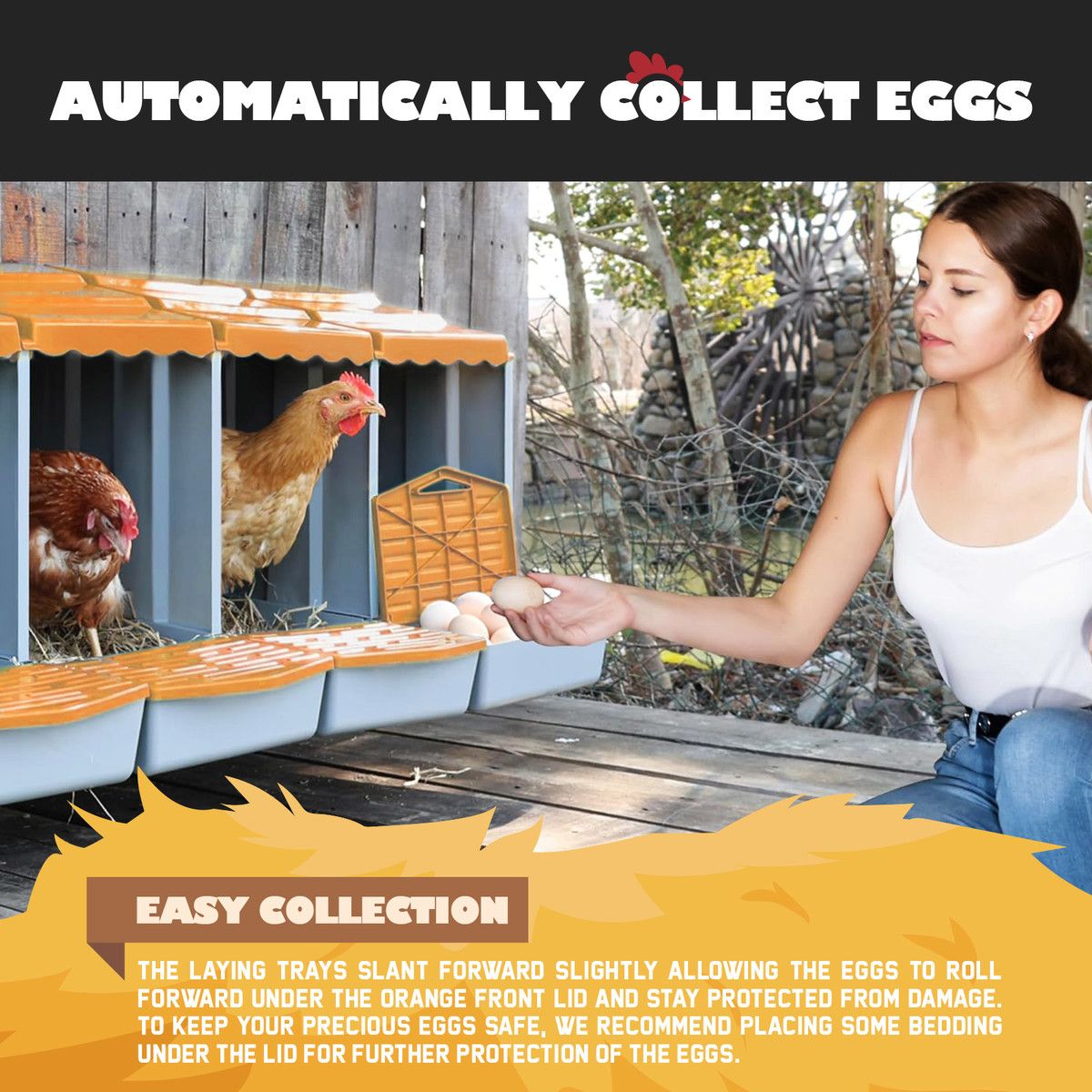 https://img.bestdeals.co.nz/products_pictures/718/71887_687657_F.jpg