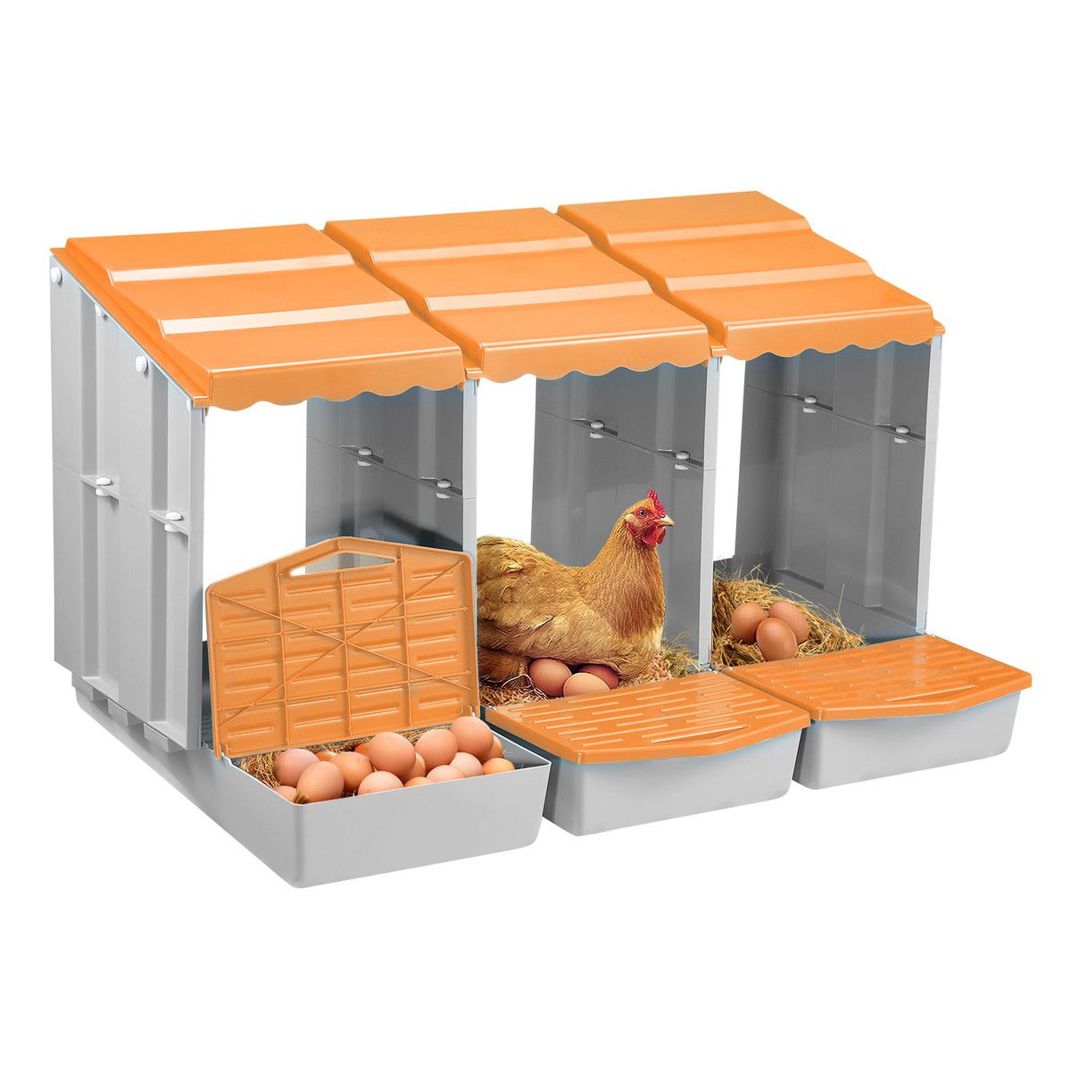 https://img.bestdeals.co.nz/products_pictures/718/71887_687659_F.jpg