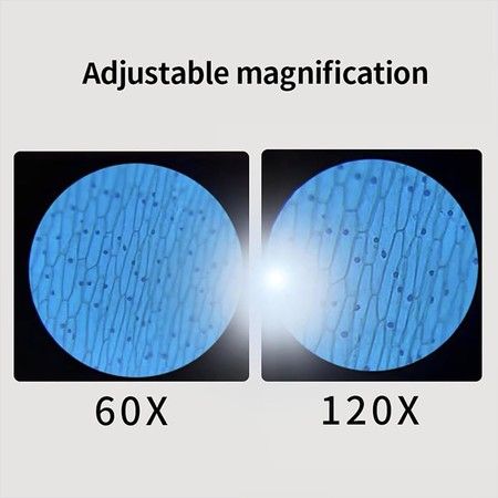https://img.bestdeals.co.nz/products_pictures/719/71927_688198_F.jpg