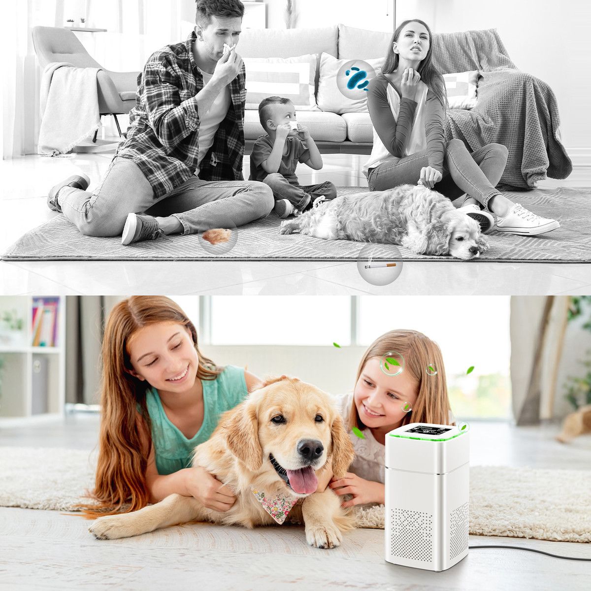 https://img.bestdeals.co.nz/products_pictures/720/72037_689428_F.jpg