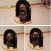 Bristle Ring Brush Cat Arch Carpeted Base Back Scratcher Massager Pet Grooming Cat Furniture Shedding Reducer Claw Care