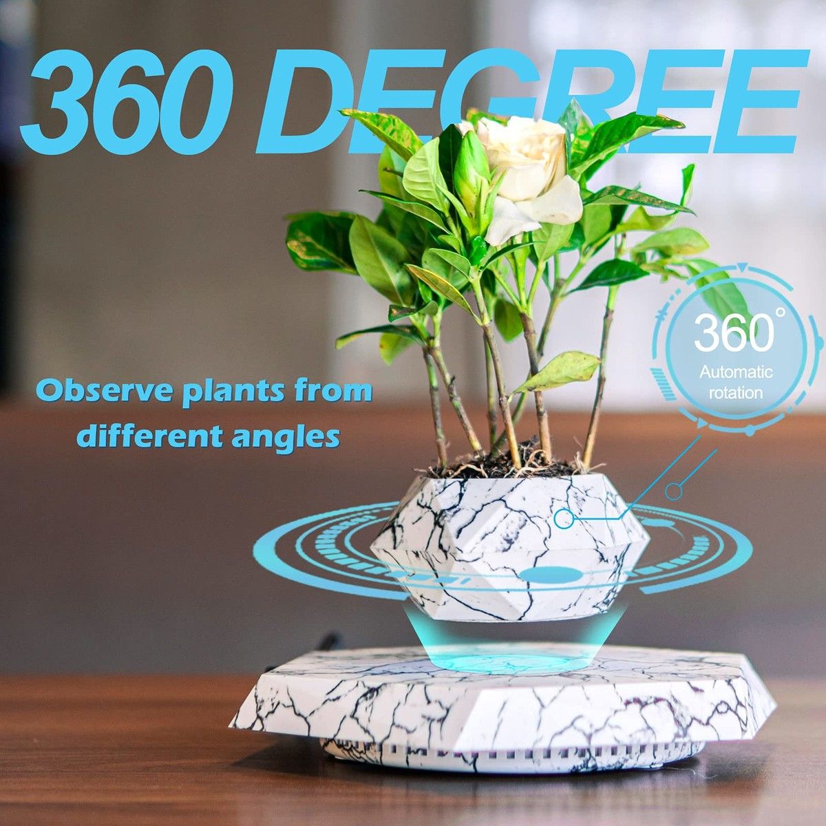 https://img.bestdeals.co.nz/products_pictures/722/72290_691853_F.jpg