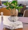 Levitating Plant Pot Magnetic Display Home Office Decor Homewarming Birthday Gift Marble Floating Planter Modern Indoor Ornament
