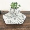 Levitating Plant Pot Magnetic Display Home Office Decor Homewarming Birthday Gift Marble Floating Planter Modern Indoor Ornament