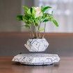 Levitating Plant Pot Magnetic Display Home Office Decor Homewarming Birthday Gift Marble Floating Planter Modern Indoor Ornament