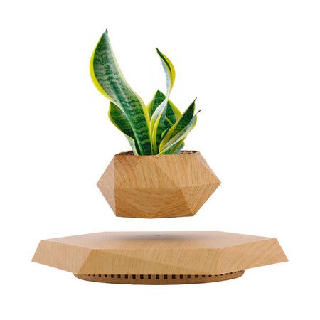 https://img.bestdeals.co.nz/products_pictures/722/72291_691858_F.jpg