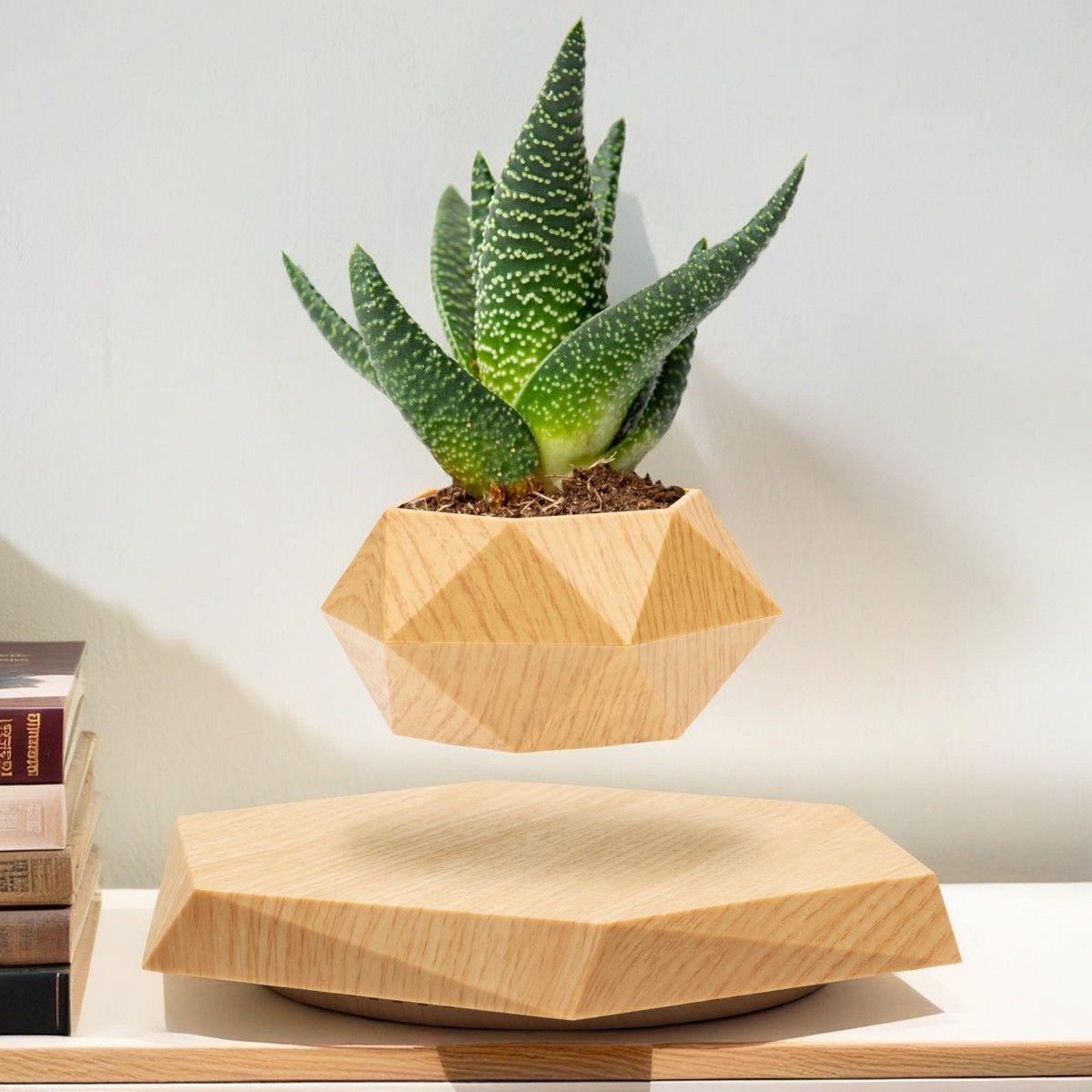 https://img.bestdeals.co.nz/products_pictures/722/72291_691861_F.jpg