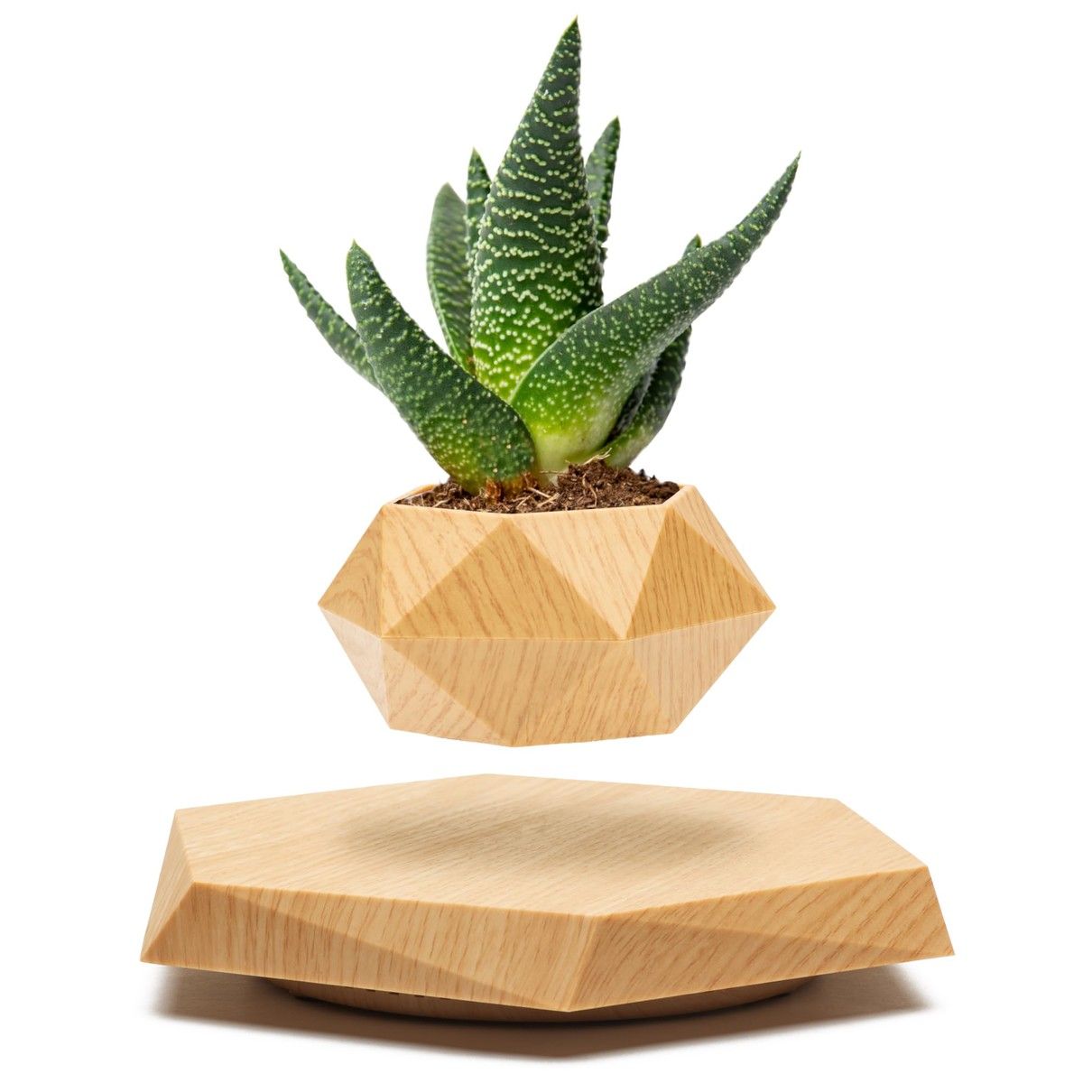 https://img.bestdeals.co.nz/products_pictures/722/72291_691863_F.jpg