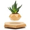 Levitating Plant Pot Floating Plant Pot for Small Plants Home Office Decor Magnetic Floating Levitating Display (Wood)