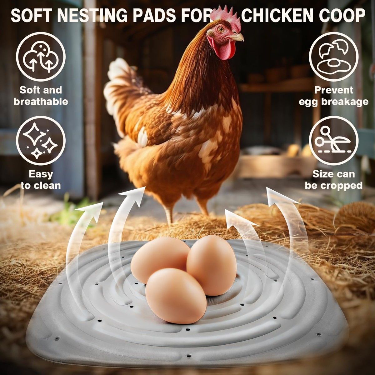 https://img.bestdeals.co.nz/products_pictures/723/72389_692786_F.jpg