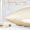 1Pcs 100% Pure Mulberry Silk Pillowcase for Hair and Skin, Allergen Resistant Dual Sides, 600 Thread Count Silk Bed Pillow Cases with Hidden Zipper, Standard Size,51 x 66 cm, Champagne