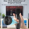 Karaoke Machine with 2 Microphones, One Click to Cancel Original Sound, 20W Speaker, 11 RGB Ambience Modes, Karaoke Machine Compatible with Multiple Devices