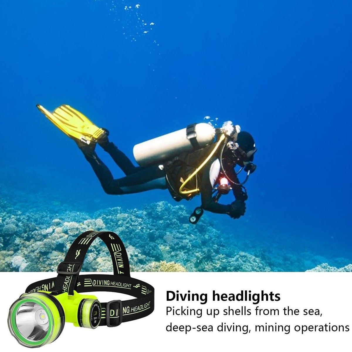 https://img.bestdeals.co.nz/products_pictures/731/73151_698547_F.jpg