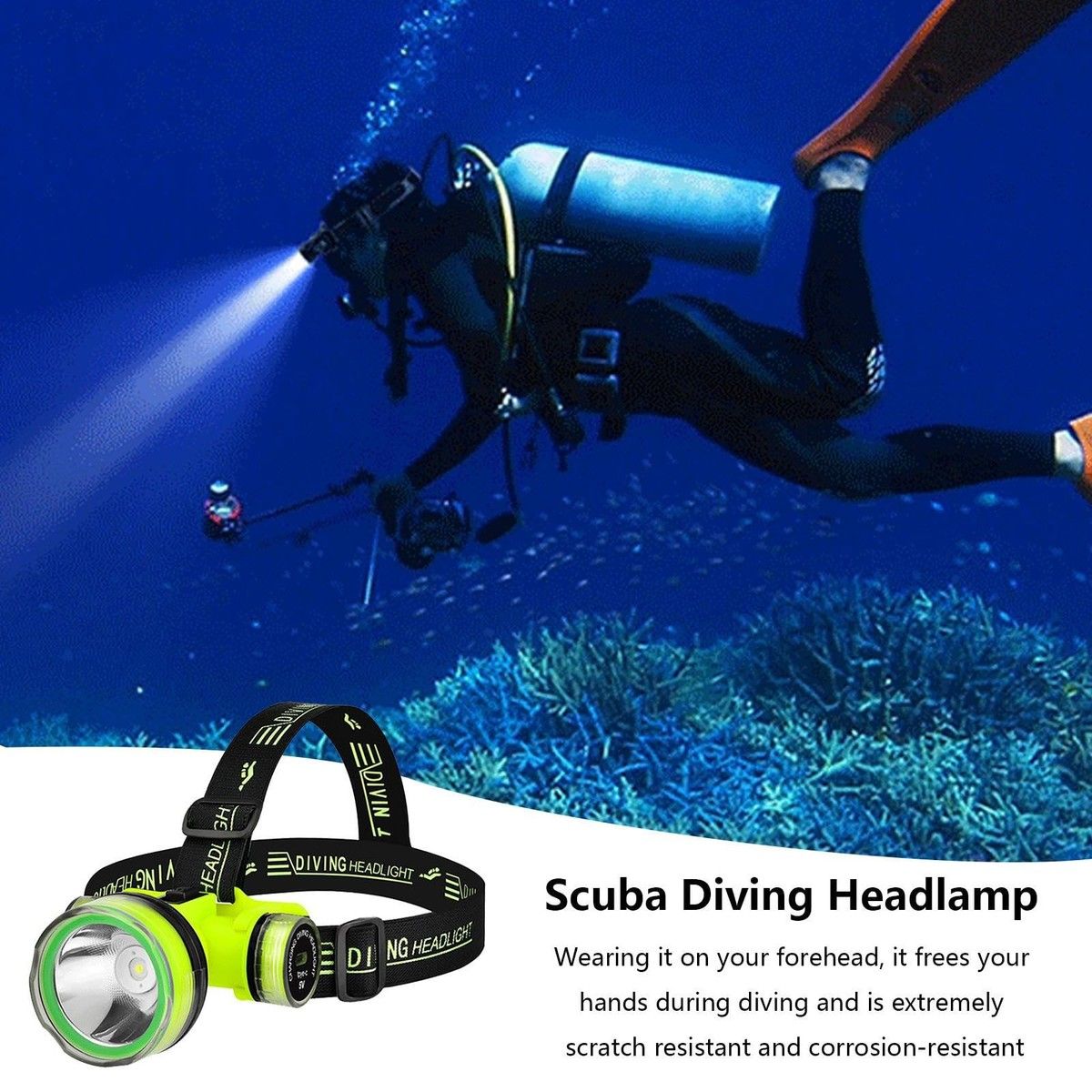 https://img.bestdeals.co.nz/products_pictures/731/73151_698551_F.jpg