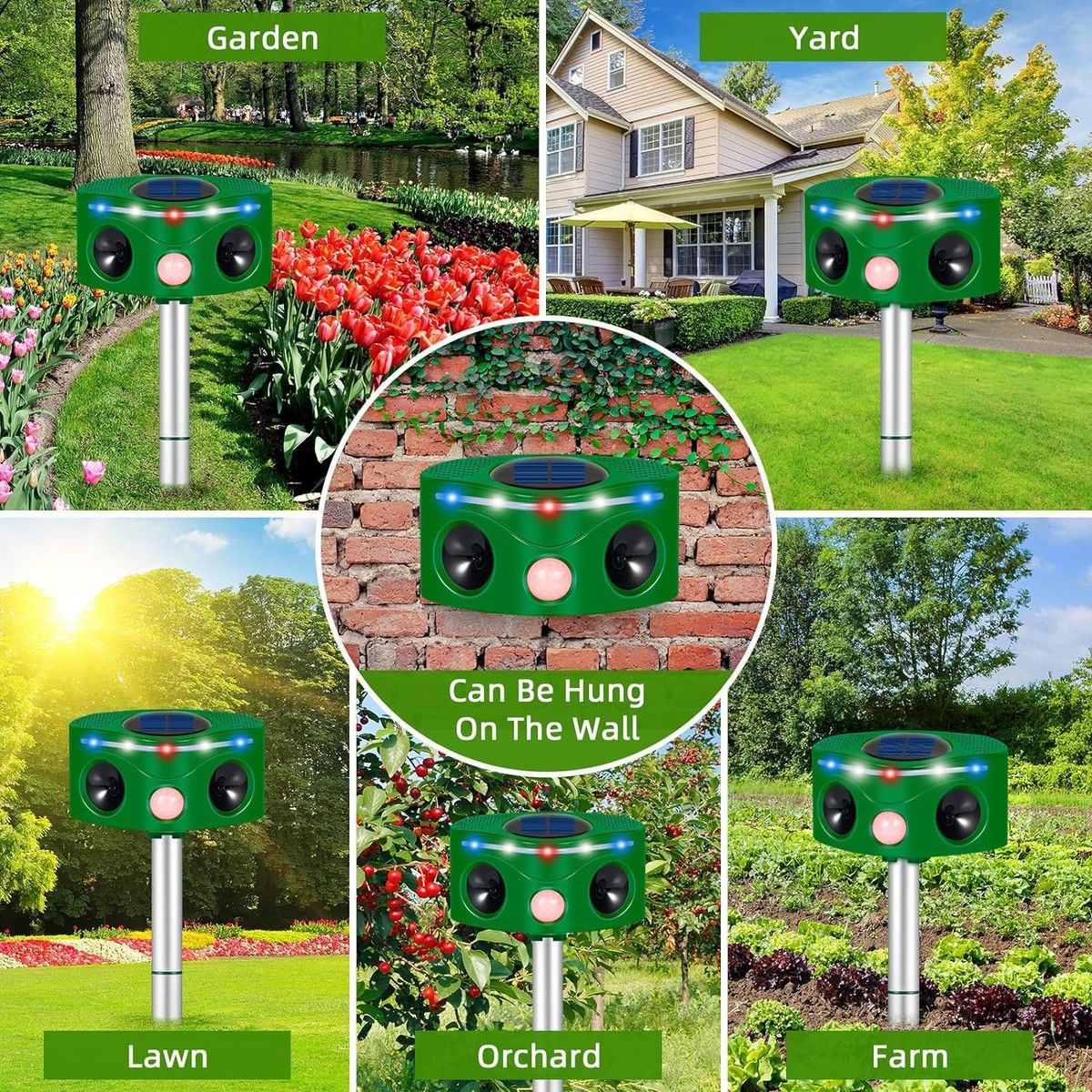 https://img.bestdeals.co.nz/products_pictures/732/73242_699631_F.jpg