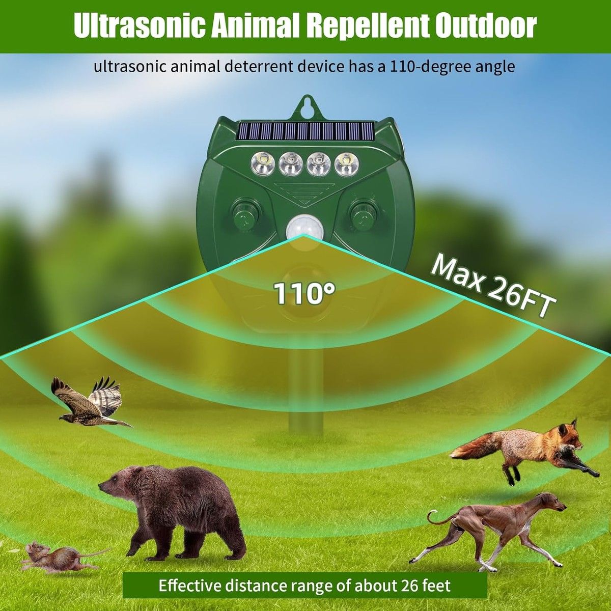 https://img.bestdeals.co.nz/products_pictures/732/73243_699638_F.jpg